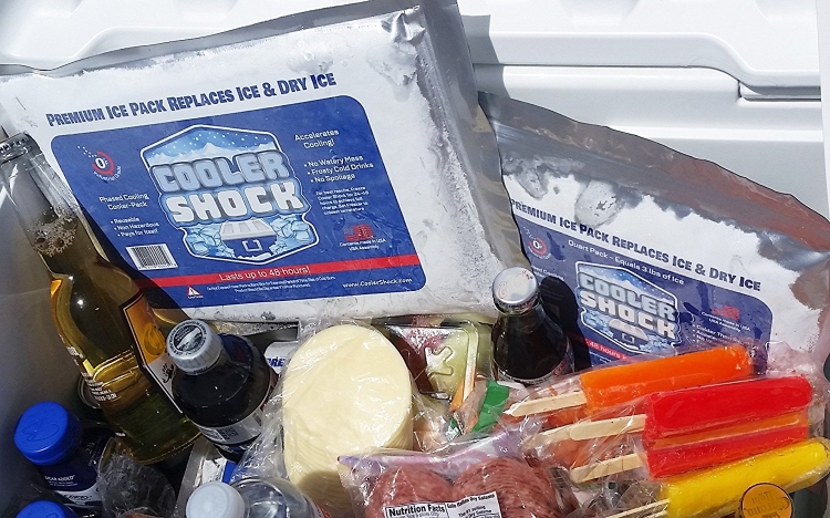 BEST REUSABLE ICE PACKS FOR COOLERS